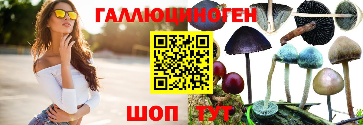 Галлюциногенные грибы Psilocybine cubensis  Вход с VPN  Галлюциногенные грибы GOLDEN TEACHER  Ачинск 